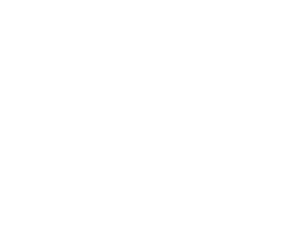daniel aguirre logo white